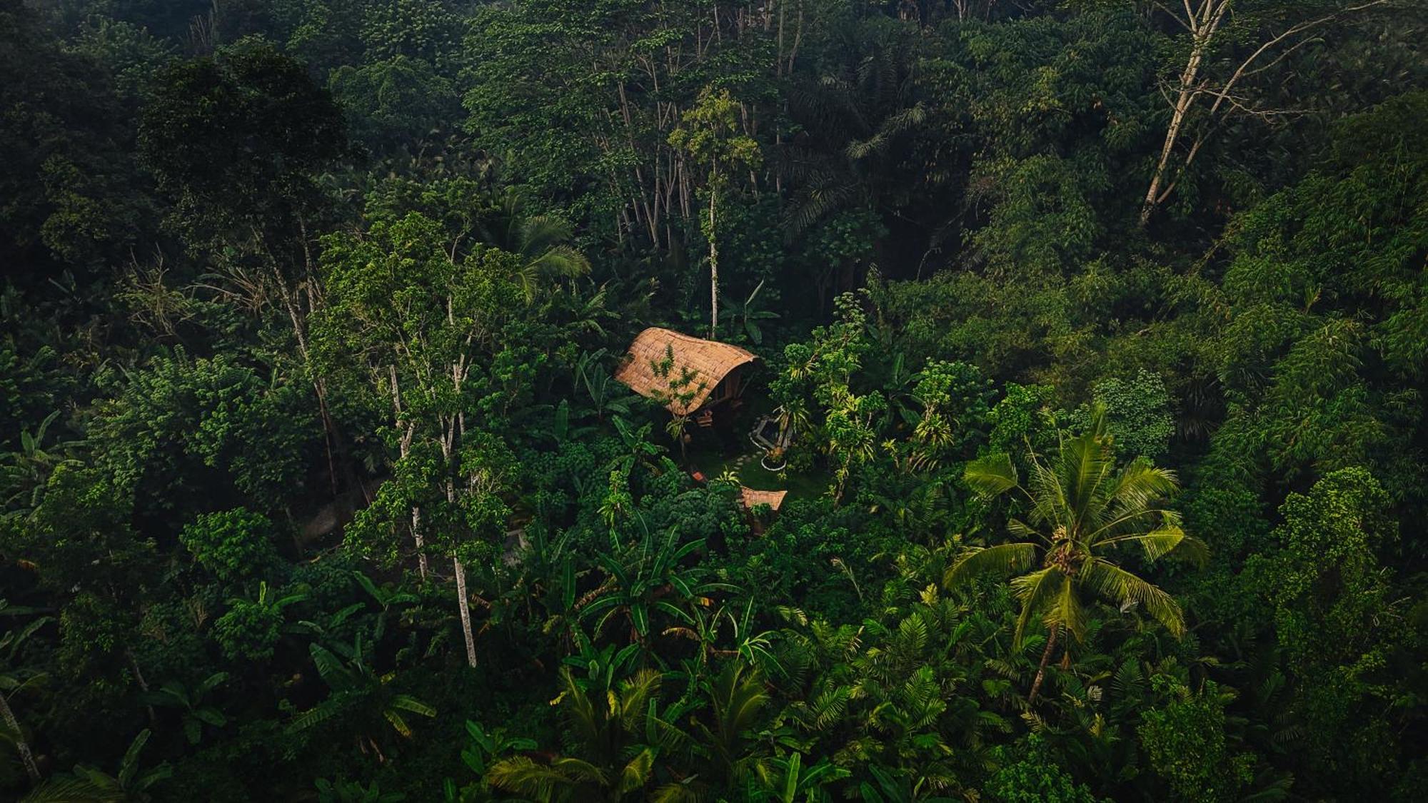 Arcada Bali Bamboo House Βίλα Sidemen  Εξωτερικό φωτογραφία