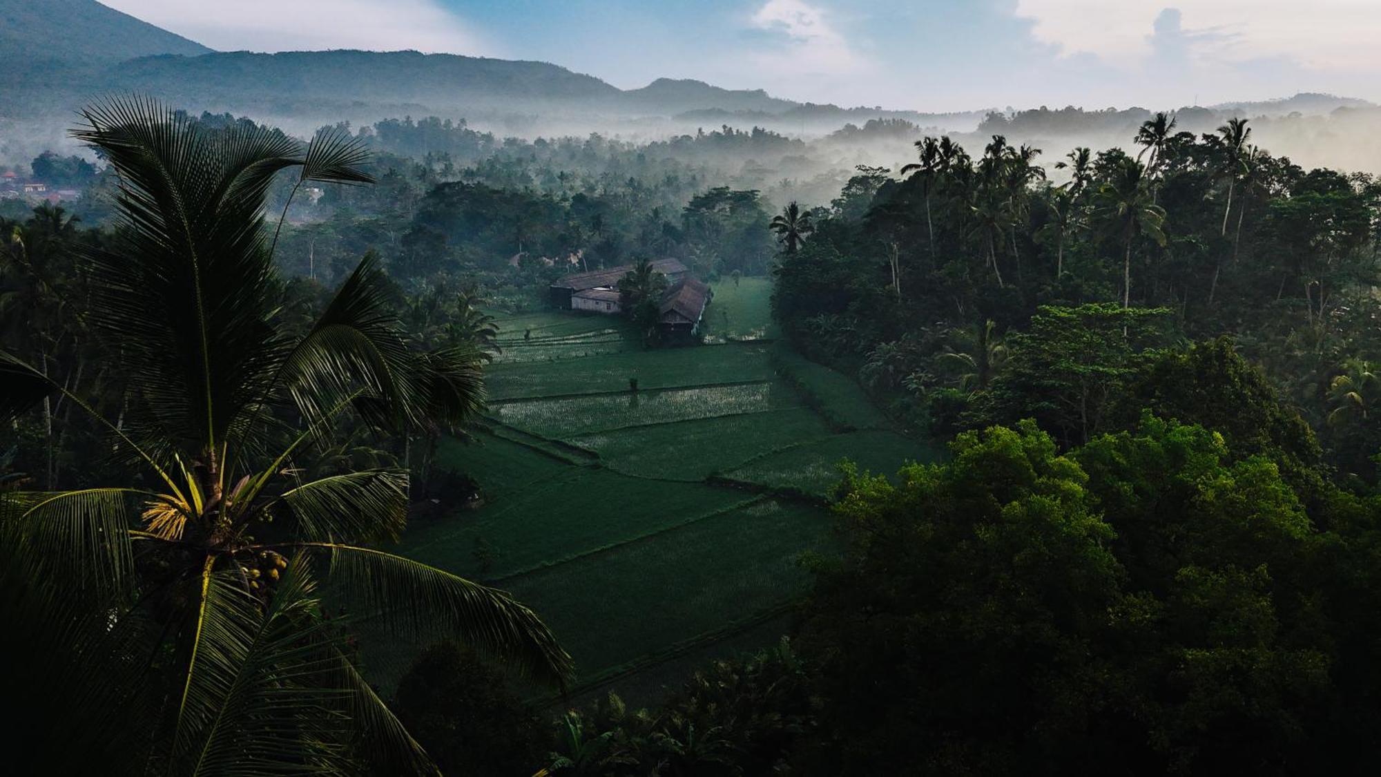 Arcada Bali Bamboo House Βίλα Sidemen  Εξωτερικό φωτογραφία